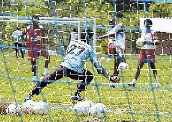 Los Leones esconden sus armas