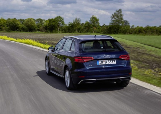 Un auto para toda la familia