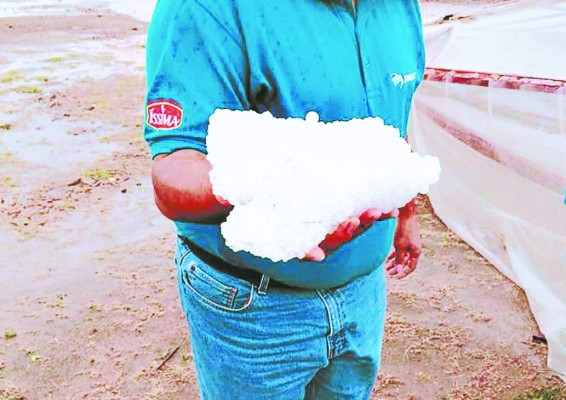 Lluvias con fuertes vientos y granizo dejan daños en Tegucigalpa