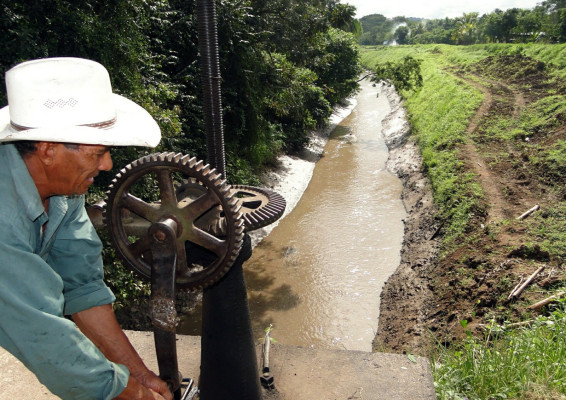 Demandarán a empresas para que paguen impuesto