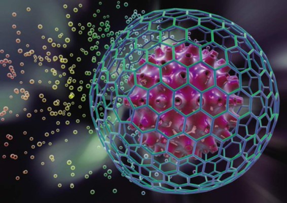 Científicos generan 'miniestómagos' con células madre