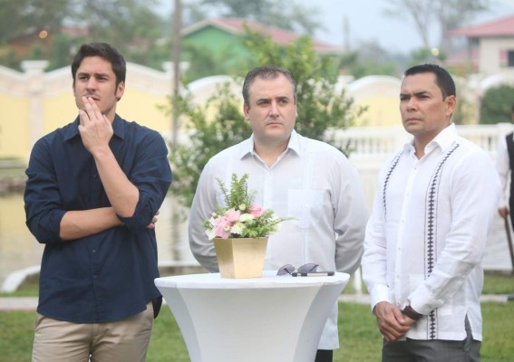 Alegría nupcial al atardecer