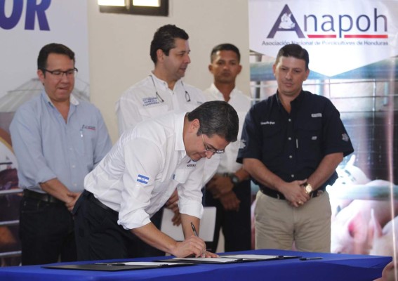 Importadores comprarán L60 millones anuales en carne de cerdo