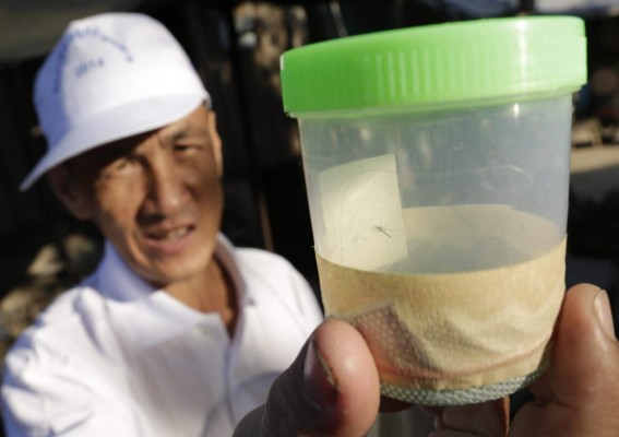 Las autoridades sanitarias continúan investigando el virus del zika.