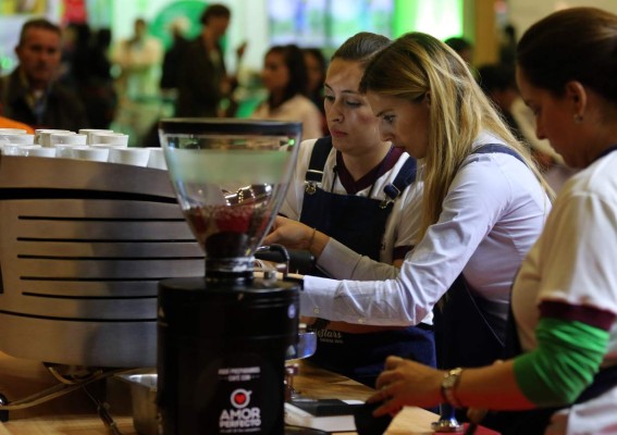 Consumo de café se duplicó en los últimos 20 años