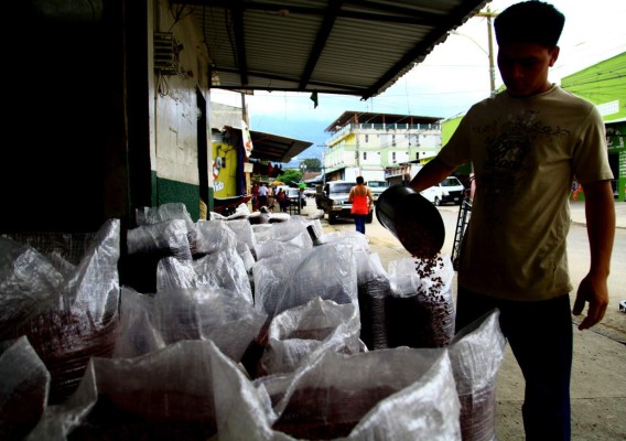 Honduras: Esta semana llegan frijoles de Etiopía