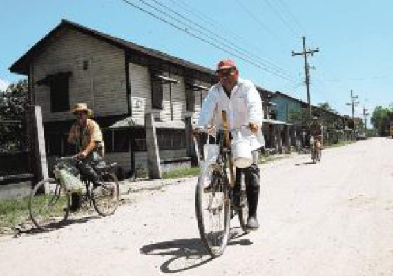 Curiosidades y mitos envuelven a los campos bananeros
