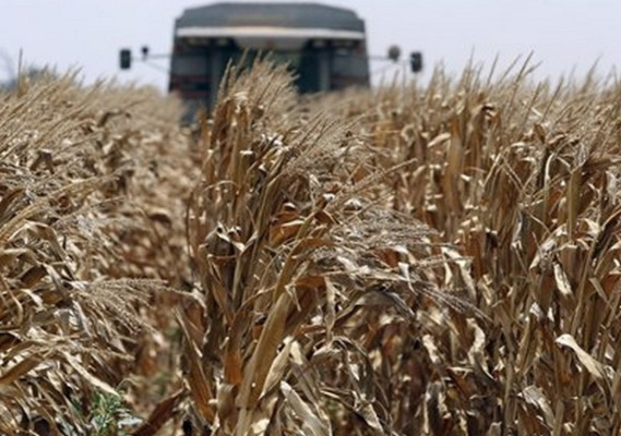 California declara emergencia por sequía