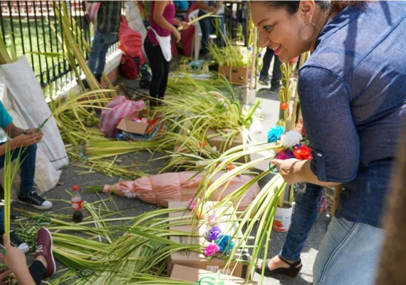 Así se preparan vendedores de palmas para el Domingo de Ramos