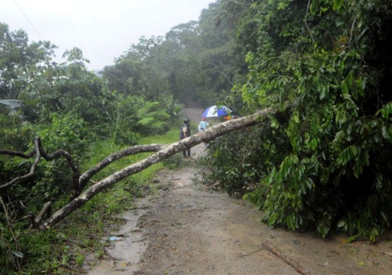 Más de 20 aldeas de La Ceiba incomunicadas por lluvias