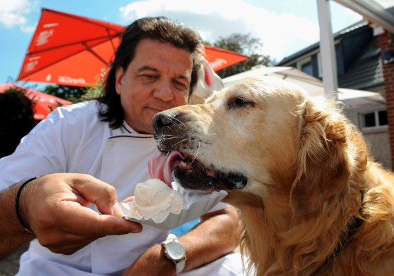 Helados... ¡para perros! &nbsp;&nbsp;