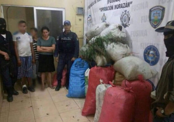 Policía de Honduras decomisa 700 libras de marihuana en Colón