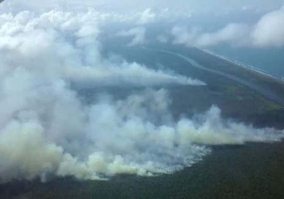 Nicaragua pide ayuda a Honduras para combatir incendio en Indio Maíz
