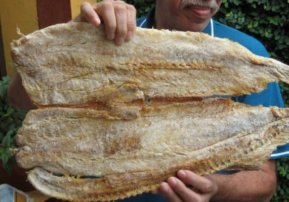 Congelamiento tuvo efecto negativo en la economía hondureña