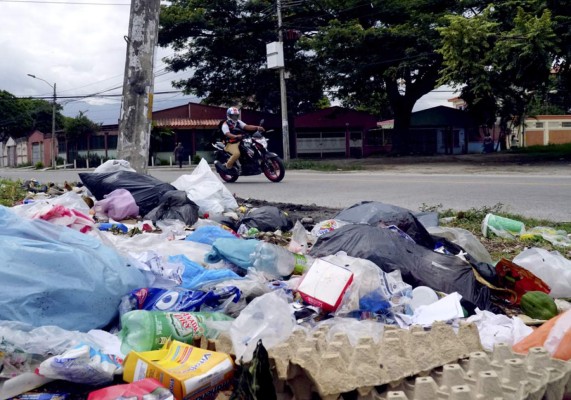 Temen brote de enfermedades por promontorios de basura en San Pedro Sula