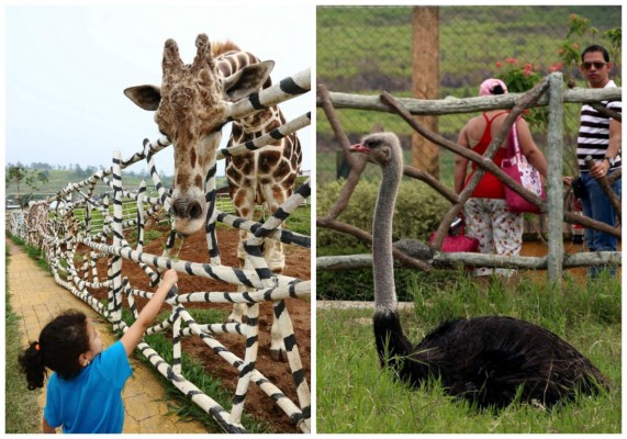 Joya Grande mantiene su esplendor