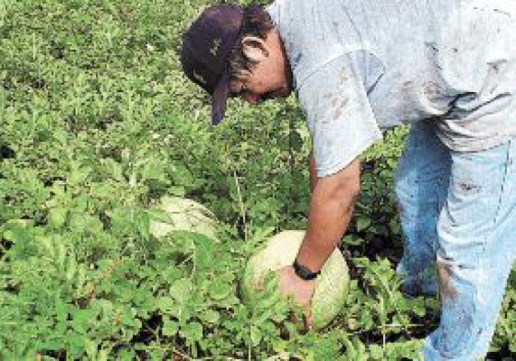 Últimos requisitos del Cafta serán publicados hoy