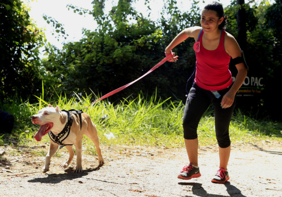 Pitbulls lo dieron todo en el segundo DogRun en San Pedro Sula
