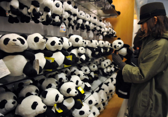 Osa panda, la nueva estrella del zoo de Taipéi