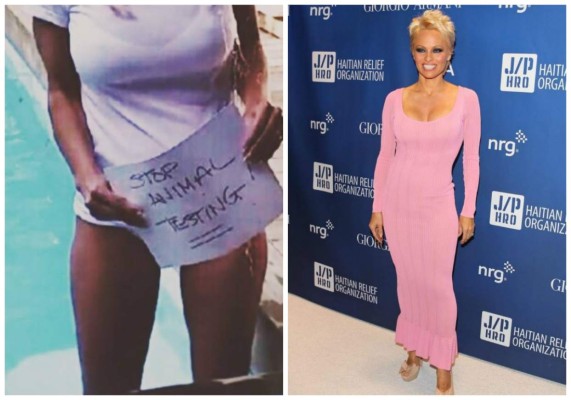 Pamela Anderson en contra del Ice Bucket Challenge