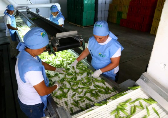 Se reunirán para hablar del salario mínimo