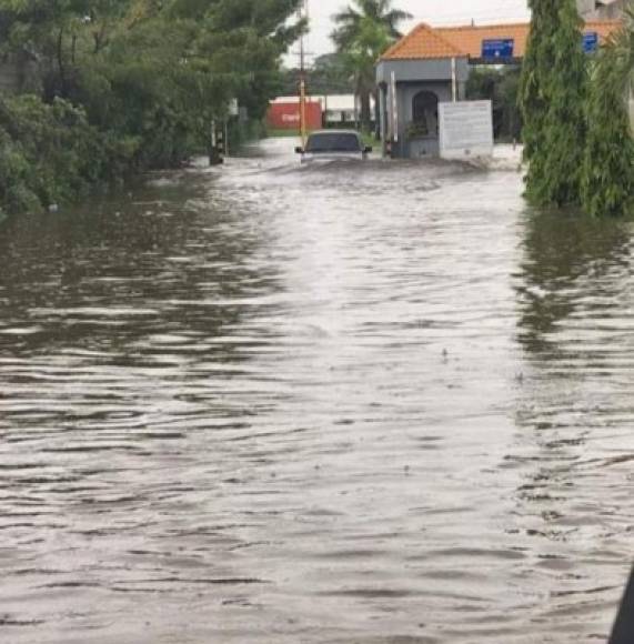 En las calles de algunas residenciales de San Pedro Sula las calles lucen inundadas.
