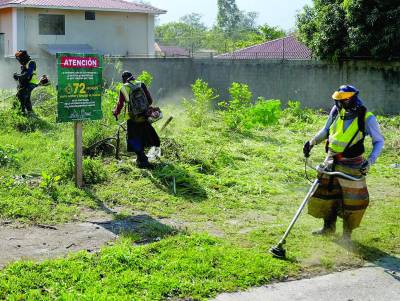 <b>Los sampedranos pagan una tasa que se llama ciudad limpia y otras para mantener la limpieza en la ciudad.</b>
