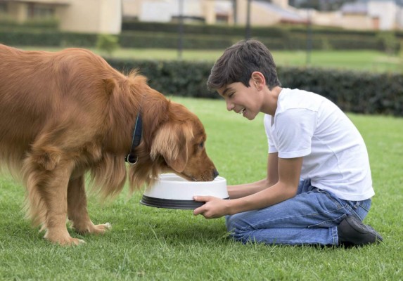 ¡Anímate! Adopta tu primera mascota