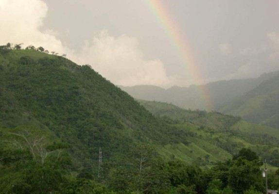 Declaran como refugio silvestre la montaña de Mico Quemado