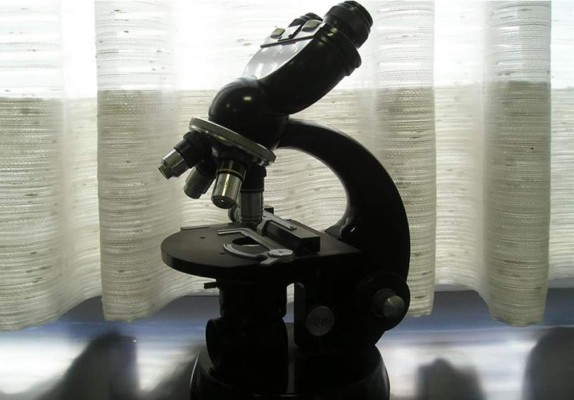 Descubren un mecanismo de las bacterias que potencia su poder patógeno