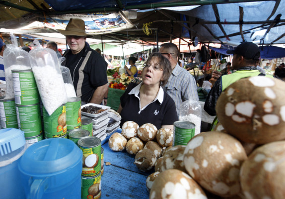 Lisa Kubiske: 'Diputados deben elegir líderes de visión clara”