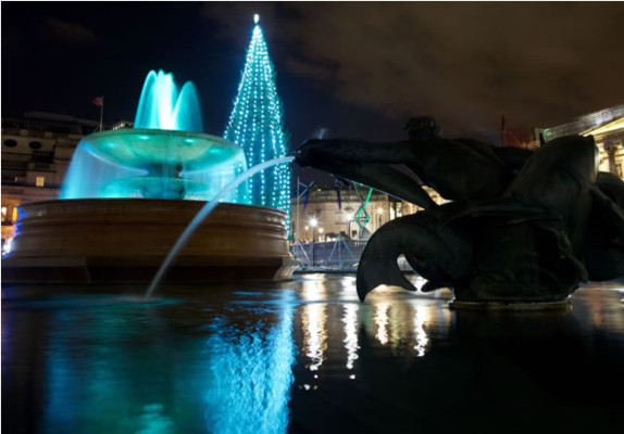 Vídeo: Encienden el árbol de Navidad más famoso de Inglaterra