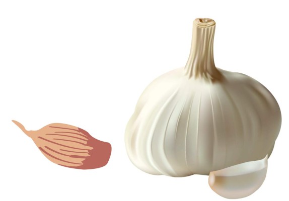 El ajo, especial para todo