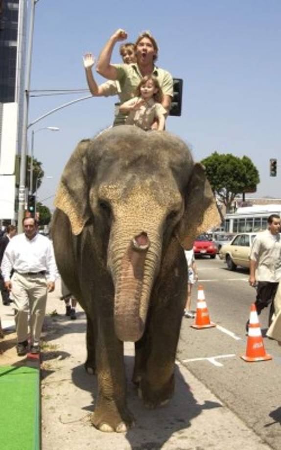 Los padres de Bindi Irwin eran dueños y operaban el zoológico de Australia.