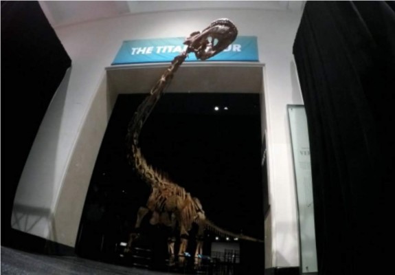 Colosal dinosaurio patagónico en Nueva York