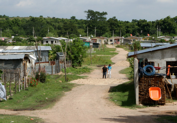 Invasores destruyen cultivos de caña de azúcar en Villanueva