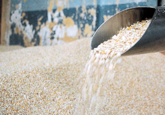 Recomiendan mejorar tecnología y diversificar