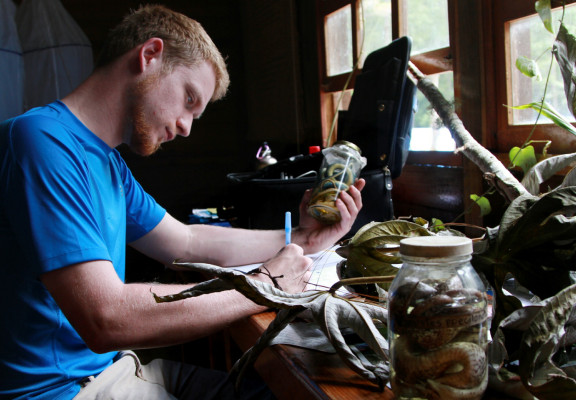 Presentan proyecto de conservación para el Cusuco