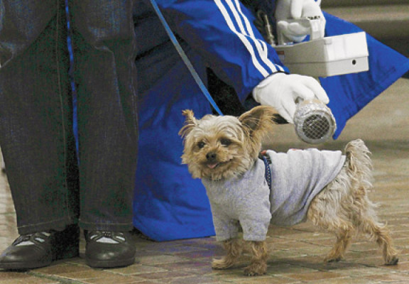 Detectan en California radiación de Fukushima