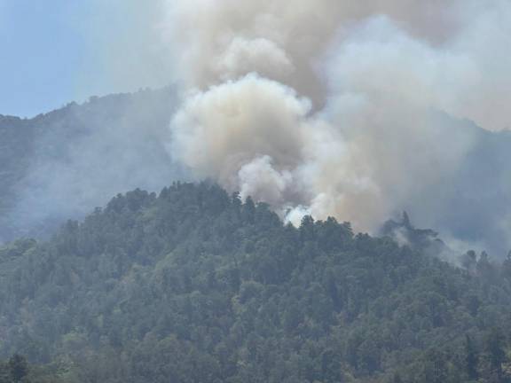El incendio se registra en las cercanías del Zapotal.