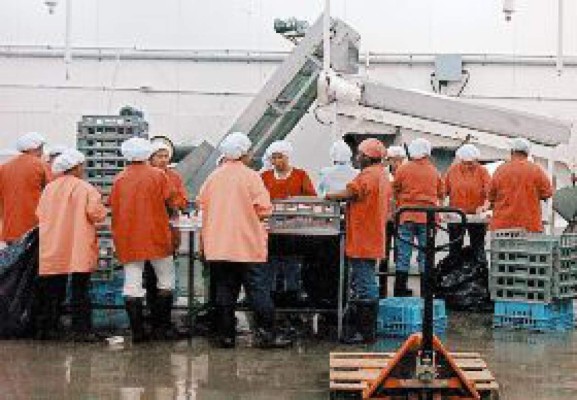 Empresarios buscan más inversiones para La Ceiba