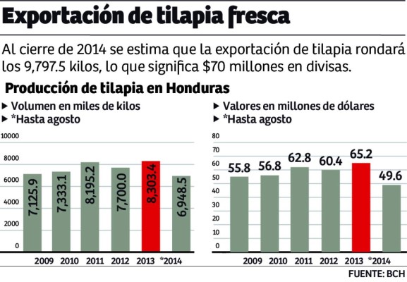Cultivo de tilapia compensa merma en producción de mar