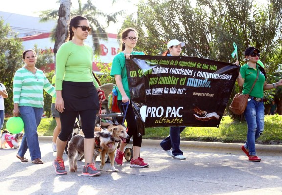 Presionan por ley de protección de animales en Honduras