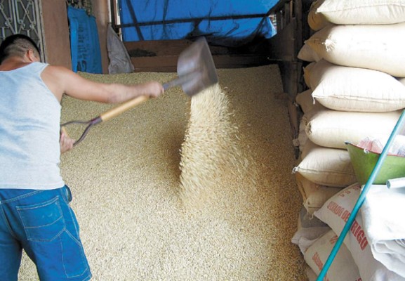 En L 60 se disparó el quintal de maíz y en L 70 el de arroz