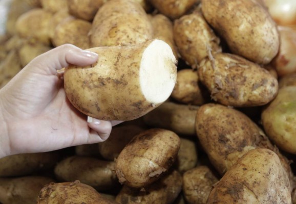 Tierras bajas son aptas para siembra de papa: Dicta