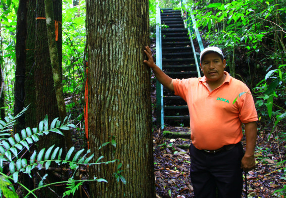 Explore el Cusuco, la joya natural que encuentra en El Merendón