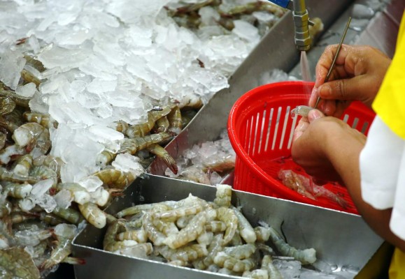 Producción de camarón en Honduras registra drástica caída