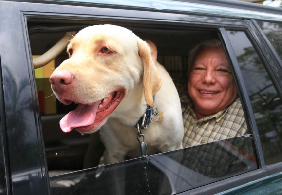 Sampedranos prefieren perros de razas pequeñas y nobles