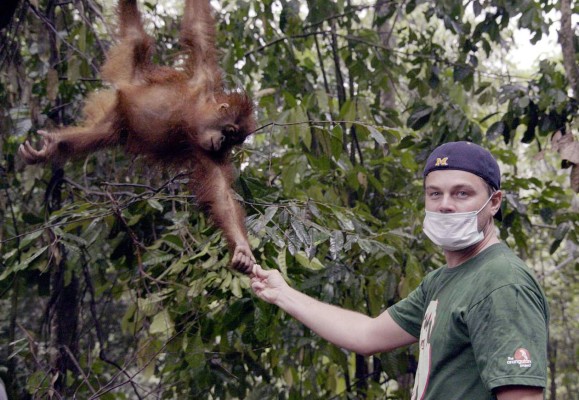 DiCaprio, con el ecologismo a cuestas