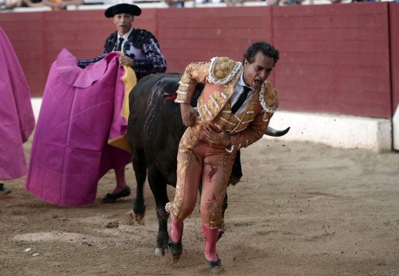 Muere torero español tras mortal cornada en el pulmón